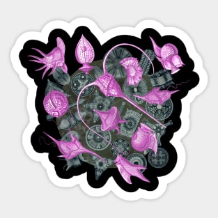 Ernst Haeckel Pink Peridinea on Cerulean  Diatoms Sticker